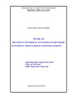 The effect of warm up activities on the grade 10 students’ motivation in listening lessons 