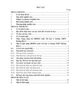 Một số đề xuất trong việc phát hiện, bồi dưỡng học sinh giỏi môn tin học 