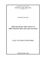 Một số lớp đa thức hoán vị trên trường hữu hạn đặc số chẵn (Luận văn thạc sĩ)