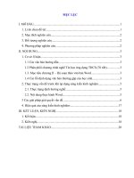 Luyện các kỹ năng soạn thảo văn bản nghề tin học 8 thông qua các bài thực hành chủ đề lý thuyết HOLLAND và việc chọn nghề 