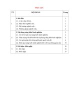 Một số kinh nghiệm giúp học sinh lớp 8 làm tốt bài văn thuyết minh 