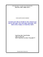 Sử dụng kỹ thuật sơ đồ tư duy nhằm tạo hứng thú học tập, giúp học sinh học tốt môn công nghệ 11 ở trường THPT 