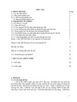 Hoàn thiện tư duy và phát triển kỹ năng giải bài tập hóa học bằng phép quy đổi đưa hỗn hợp về các nguyên tố hoặc cụm nguyên tố 