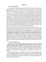 Kinh nghiệm ứng dụng toán xác suất để giải một số dạng bài tập di truyền sinh học 9 