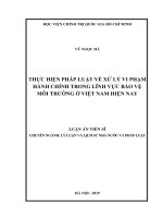 Thực hiện pháp luật về xử lý vi phạm hành chính trong lĩnh vực bảo vệ môi trường ở Việt Nam hiện nay