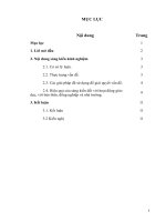 Một số biện pháp giúp học sinh ghi nhớ và vận dụng các dạng toán cơ bản của lớp 6  