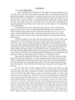 Giải pháp phòng tránh giảm thiểu thiên tai do mưa lũ thông qua các hoạt động ngoại khóa ở trường THCS bình lương 