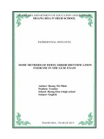 Some methods of doing error identification exercise in the GCSE exam 