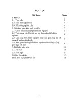 Vấn nạn tảo hôn đối với các em đang trong độ tuổi đến trường ở trường THPT 