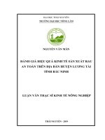 Đánh giá hiệu quả kinh tế sản xuất rau an toàn trên địa bàn huyện Lương Tài tỉnh Bắc Ninh (Luận văn thạc sĩ)