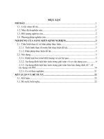 Nét đẹp của các định luật bảo toàn trong giải toán hóa hóa học áp dụng để giải nhanh các bài toán vô cơ vận dụng cao trong kì thi THPT quốc gia 