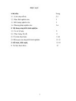 SỬ DỤNG sơ đồ tư DUY, các tư LIỆU HÌNH ẢNH và TRÒ CHƠI ô CHỮ bí mật vào dạy học môn LỊCH sử lớp 10 