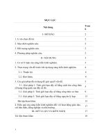 Một số kinh nghiệm ôn thi học sinh giỏi lớp 11, chủ đề ‘‘ tìm giới hạn dãy số 