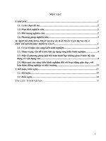 Một số phương pháp giải các bài toán vận dụng của chủ đề hình học không gian 