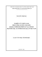 (Luận văn thạc sĩ) Nghiên cứu phân loại phân tông xuyên tâm liên (Subtrib.ANDROGRAPHIINAE Nees) thuộc họ ô rô (Fam. ACANTHACEAE Juss.) ở Việt Nam
