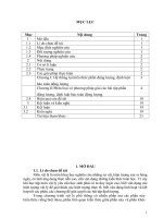 Phân loại và phương pháp giải các bài tập phần động lượng, định luật bảo toàn động lượng – vật lí 10 chương trình chuẩn 