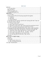 Giúp học sinh biết cách vận dụng kiến thức lí luận văn học trong bài văn học sinh giỏi 