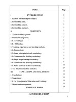 How to teach ten – year system english 6 vocabulary effectively 