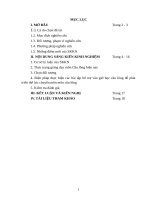 Một số bài tập nhằm phát triển thể lực môn cầu lông cho học sinh lớp 10 THPT 