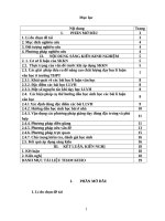 Một số biện pháp nâng cao chất lượng dạy học lý luận văn học ở trường THPT 