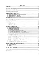 Một số kinh nghiệm ôn luyện, bồi dưỡng học sinh giỏi văn chương trình lớp 11 đạt hiệu quả cho học sinh lớp 11 ở trường THPT ngọc lặc 