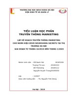 Lập kế hoạch truyền thông marketing cho nhãn hiệu dove nourishing secrets tại thị trường hà nội giai đoạn từ tháng 102019 đến tháng 12020