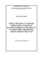 Tâm lý bầy đàn, lý thuyết triển vọng và hành vi ra quyết định của nhà đầu tư cá nhân trên thị trường chứng khoán việt nam 