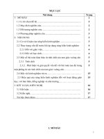 Định hướng cho học sinh phát hiện và giải quyết vấn đề với bài toán tọa độ trong mặt phẳng từ các tính chất của tam giác vuông cân 