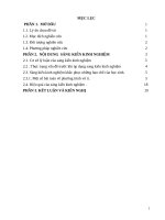 Hướng dẫn học sinh giải một số dạng bài toán phương trình vô tỉ 