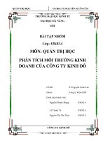 TIỂU LUẬN PHÂN TÍCH MÔI TRƯỜNG KINH DOANH CỦA CÔNG TY KINH ĐÔ