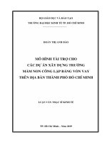 Mô hình tài trợ cho các dự án xây dựng trường mầm non công lập bằng vốn vay trên địa bàn thành phố hồ chí minh 