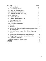 Tiếp cận truyện cổ tích tấm cám từ góc độ giáo dục và văn hóa  