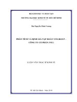 Phân tích và định giá tập đoàn vingroup – công ty cổ phần (VIC) 