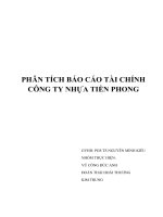 PHÂN TÍCH BÁO CÁO TÀI CHÍNHCÔNG TY NHỰA TIỀN PHONG