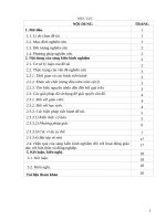 Hướng dẫn học sinh giải một số bài tập về định luật bảo toàn cơ năng 