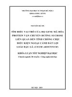 Tìm hiểu vai trò của họ gene mã hóa protein vận chuyển đường sucrose liên quan đến tính chống chịu điều kiện ngoại cảnh bất lợi loài đậu gà (Cicer arietinum)