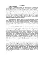 Mạng xã hội  facebook và một số vấn đề cần quan tâm ở học sinh THPT 