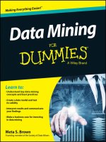 Data mining for dummies brown 2014 09 29 (1) 