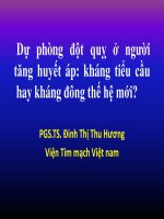 Dinh THi THu huong du phong dot quy 