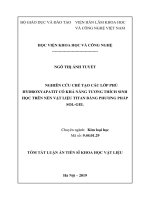 Nghiên cứu chế tạo các lớp phủ hydroxyapatit có khả năng tương thích sinh học trên nền vật liệu titan bằng phương pháp sol gel tt 