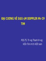 06  dai cuong sieu am doppler mo co tim 