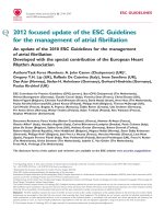 ESC AF 2012 