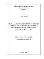 Phân lập, tuyển chọn chủng vi sinh vật có khả năng tạo màng Biocellulose trên môi trường dịch Dưa chuột (Cucumis Sativus L.1753)