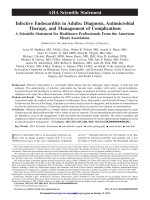 AHA infective endocarditis 2015 