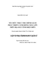 Luận văn thạc sỹ - Tổ chức thực thi chính sách phát triển cánh đồng mẫu lớn trên địa bàn tỉnh Điện Biên