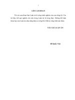 Luận án tiến sĩ kinh tế hoàn thiện tổ chức kiểm toán nội bộ trong tổng công ty sông đà 