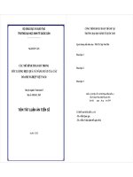 Các mô hình tham số trong ước lượng hiệu quả và năng suất của các doanh nghiệp Việt Nam tt