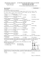 Đề thi chính thức kỳ thi THPT quốc gia năm 2018 môn  hóa học – bộ GDĐT 