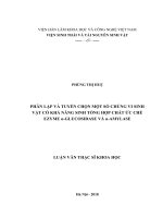 Phân lập và tuyển chọn một số chủng vi sinh vật có khả năng tổng hợp chất ức chế ezyme α  glucosidase và α  amylase 