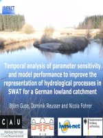2014  temporal analysis of parameter sensitivy and model performance to improve representation of hydrological process  in SWAT for a german lowland catchment 